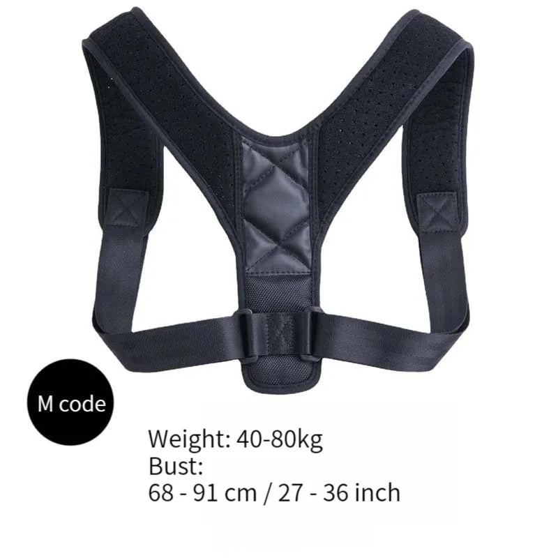 Adjustable Back Support Belt