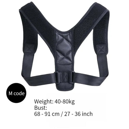 Adjustable Back Support Belt