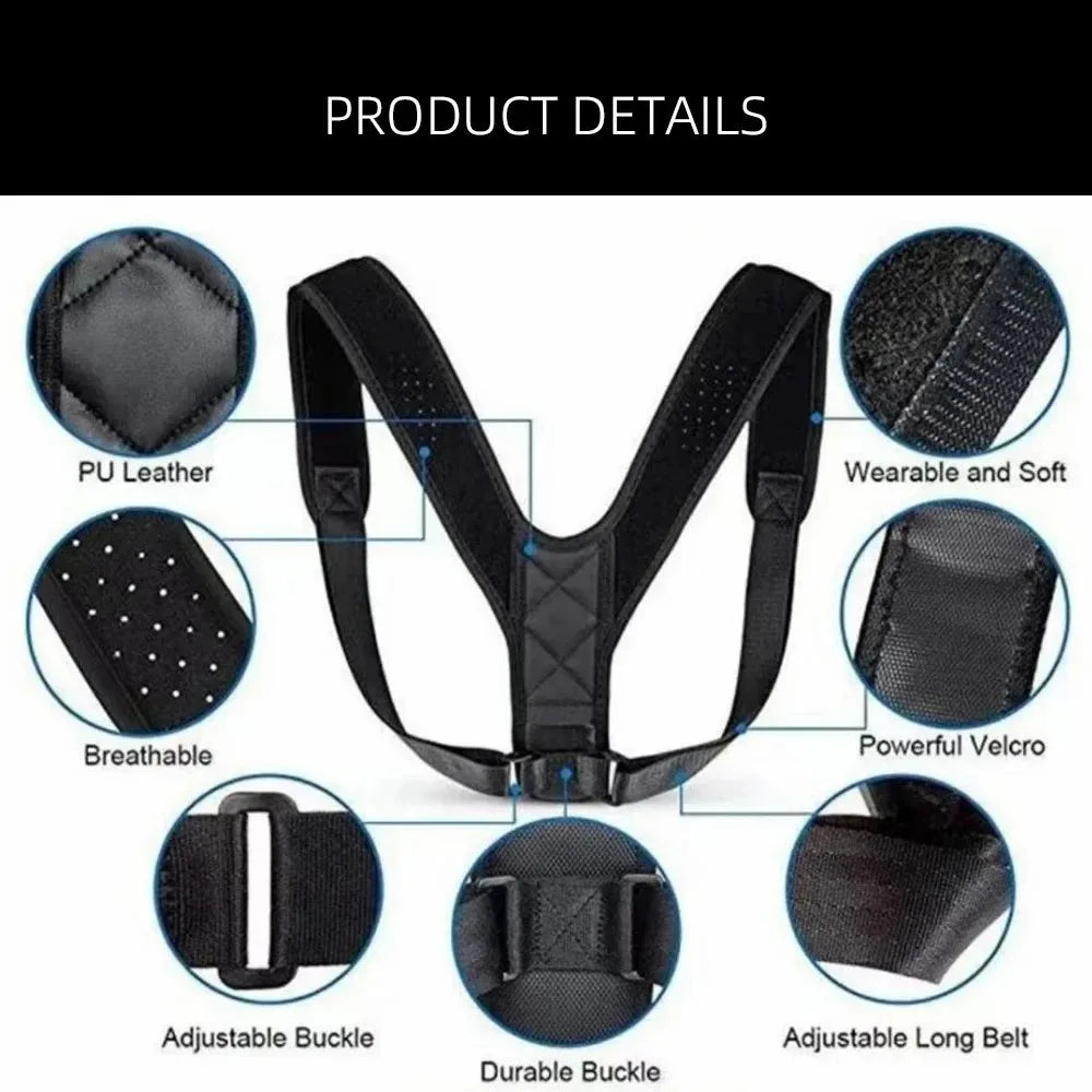Adjustable Back Support Belt