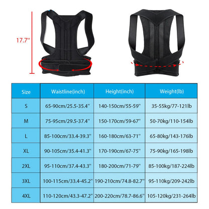 Unisex Adjustable Back Support Belt