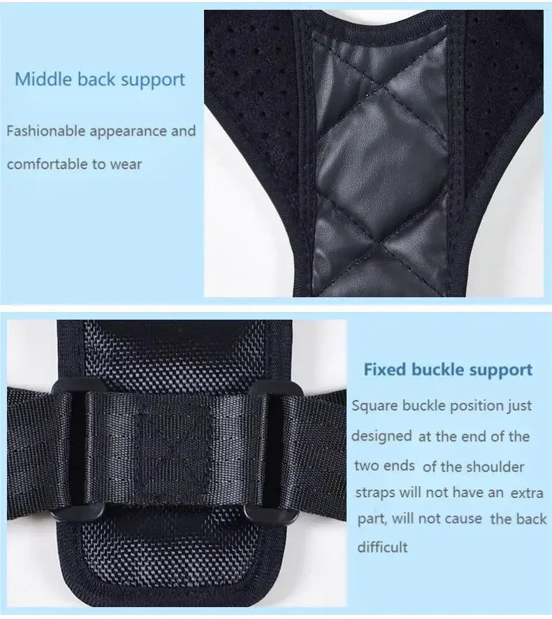 Adjustable Back Support Belt