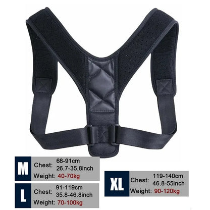 Adjustable Back Support Belt